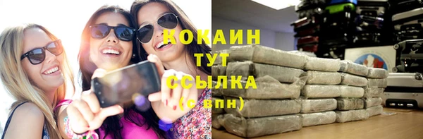 спиды Богородицк