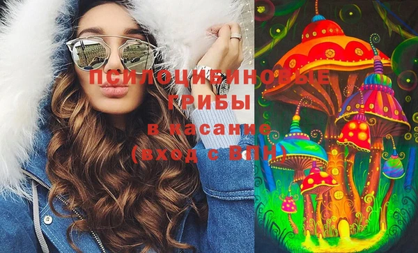 спиды Богородицк