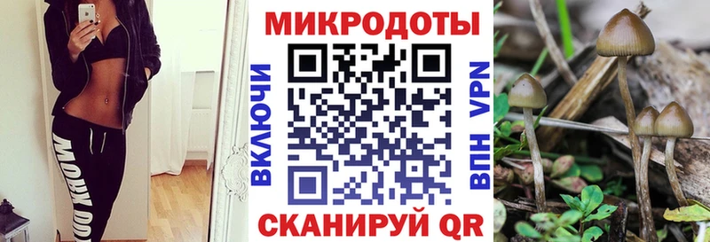 Псилоцибиновые грибы Cubensis  Беломорск 